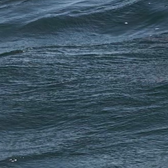 Meet your Posher, Luke - Picture 1 of 1